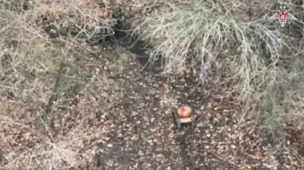 ����� 44-�� ���������� ������� ����������� "�����" �� ����������� ����������� ���������� ��������������� ������� ��� � ����� �����, �������� �������� �����������, ���������� ����� ������ ��-62