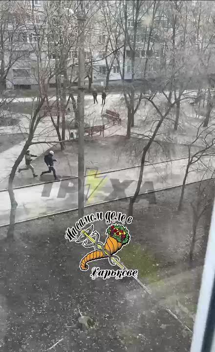 ������� �� �������� ���� ����� ���� � ��� ���������� �����