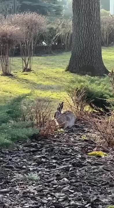 ���������.. ���� � ����� ��������