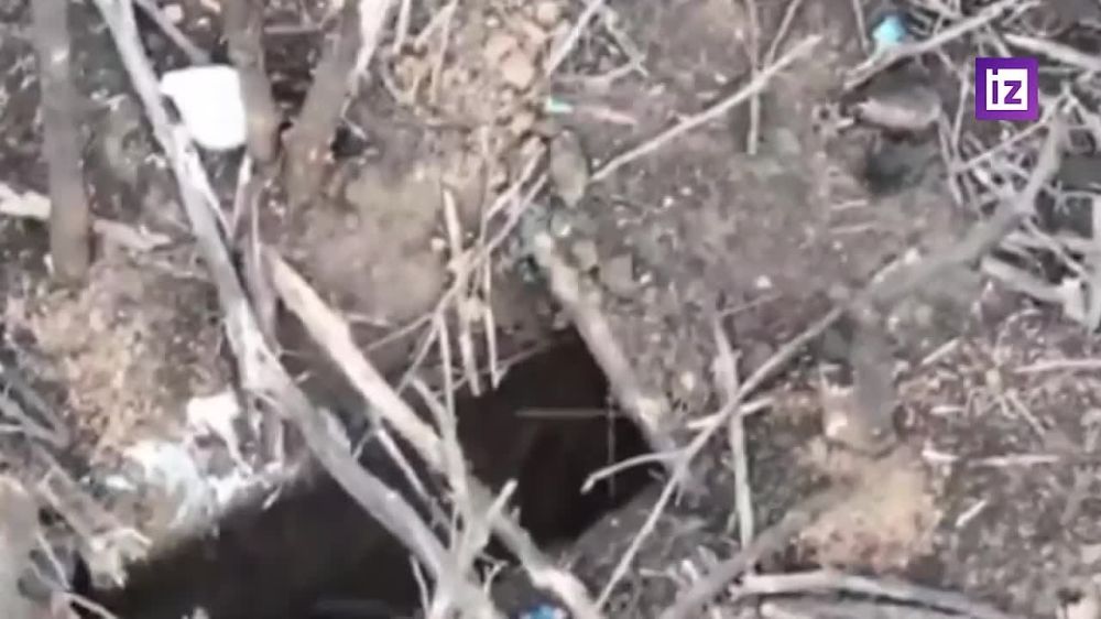 �� �� ��� ������ �������� ������� ���������� �������� � ������� ��� � ����������� �������