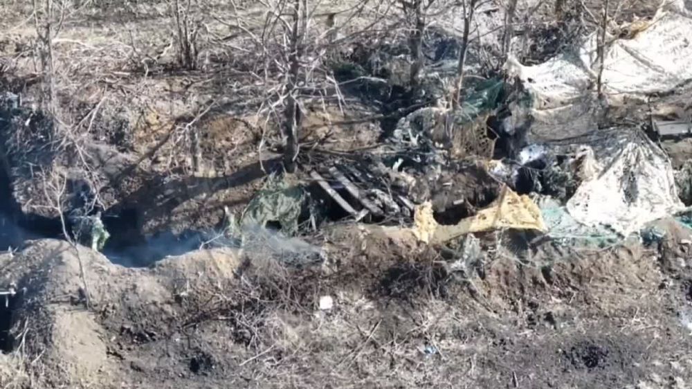 ������� ��������: ����� ������� ���� "׸���� �����" ���������� ���������� �������� ��� � ����������� �������