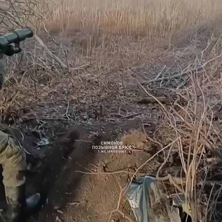  :    :     