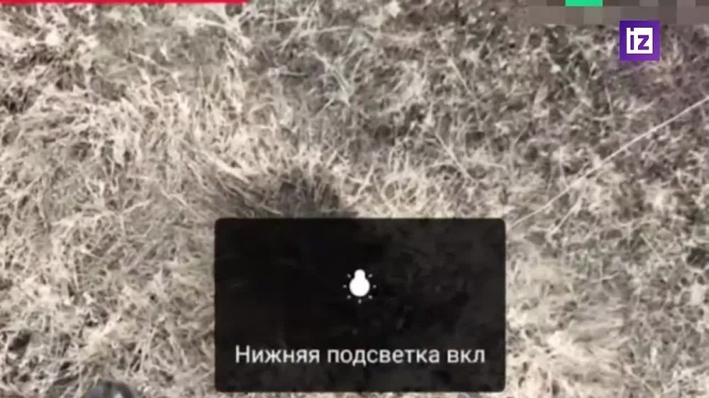 ���������� �������������� ���������� ������� ���� "���� ���" ��� � ����������� �������