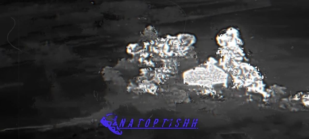 ������� �������� ������� ������ ��������� ������ ����������� "�����" �� ������ ��������� �������� ���������� � ������� �������