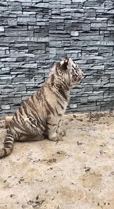 ���������.. � ����������� �������� ���������� ��� ��������