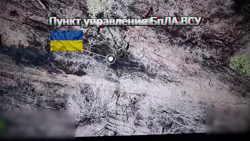 ���������� ������ ������ �������� ��� 41 ��� 72 ���