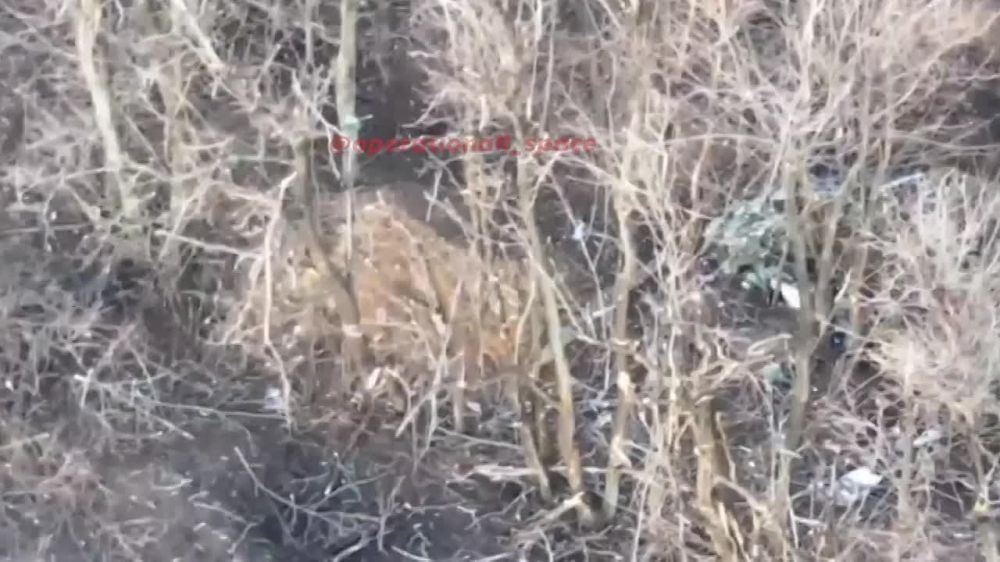 Расчет FPV-дронов #1_танковой_армии уничтожил пункт управления БпЛА противника в районе н.п. Новая Кругляковка