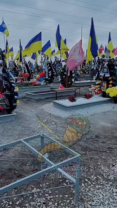 ����������� ������� ����������� ������� ���������� �� ������� ������� � ������� ��������� �������