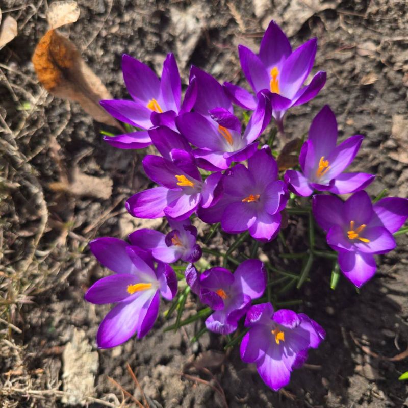 ��������.. � ����� �������� �������� �������