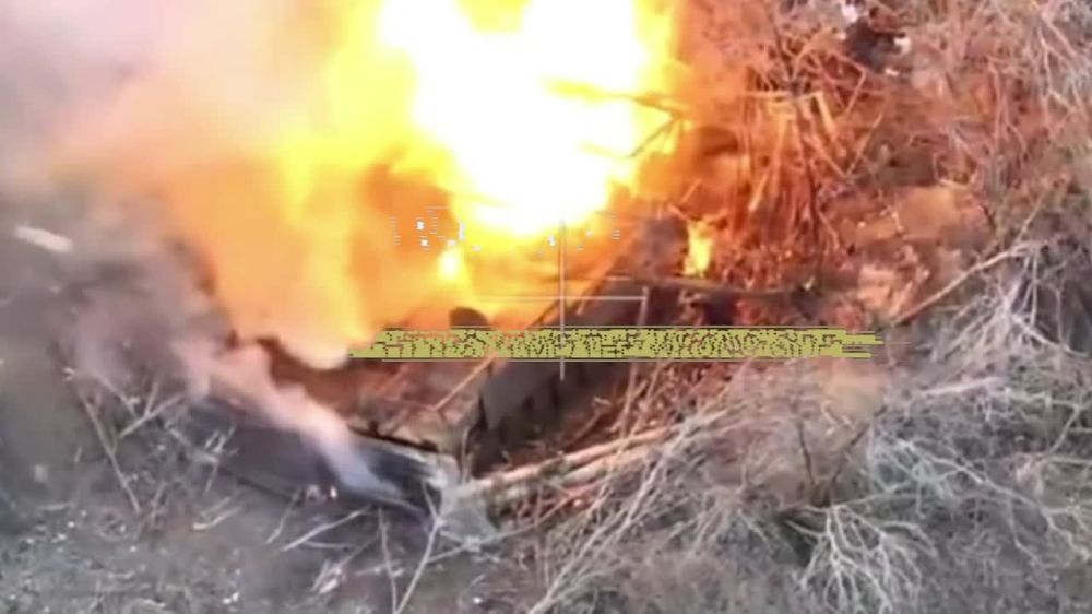 ����������� ��� 2�1 "��������" ������������� ����������� "������" �� ��������� �����������