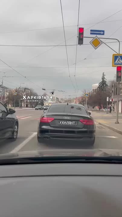 �� ������� �������� �������� ������ Audi � �������� "�������"