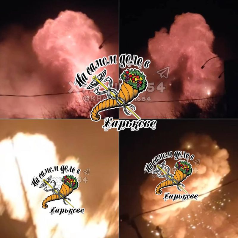 ���������� ����������� �������� �� ����� 14 �������� � �����