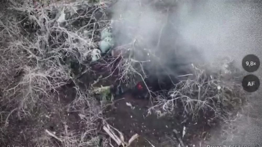 ������ ��� 41 ��� 72 ��� ��������� ������� ������� ���