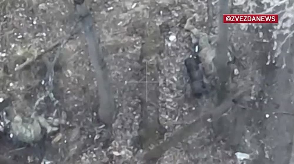 ������ �������� � �������, �� ���������� �� ����������