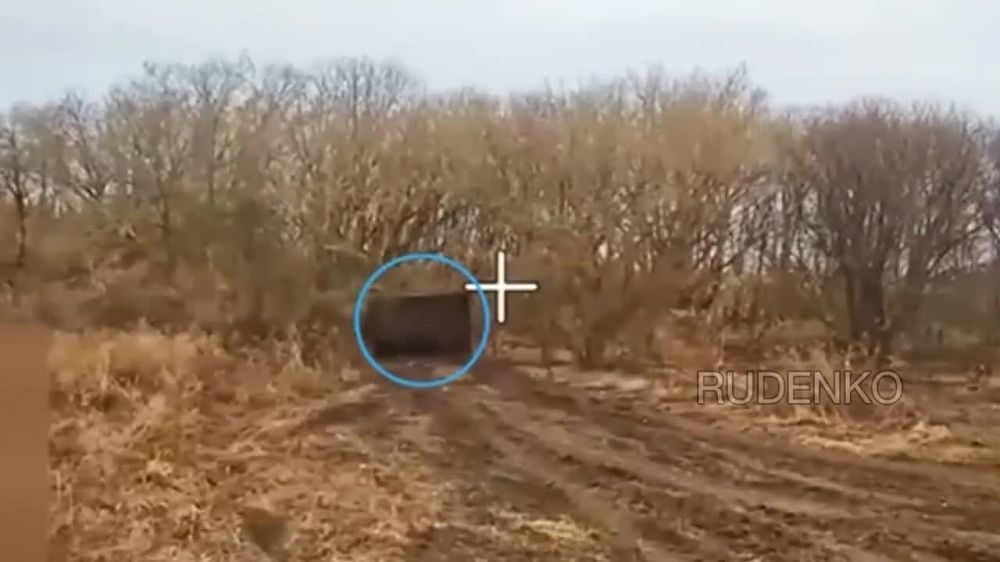 ������� ���� ���� �� �� ��������