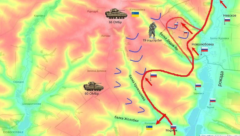 �������� �����������. ����� �������� � ����������� ���� ����� ������ ����������� ����� �����: ����� �� � ����������