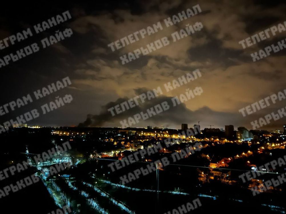 �� �������� ���� ���� ������