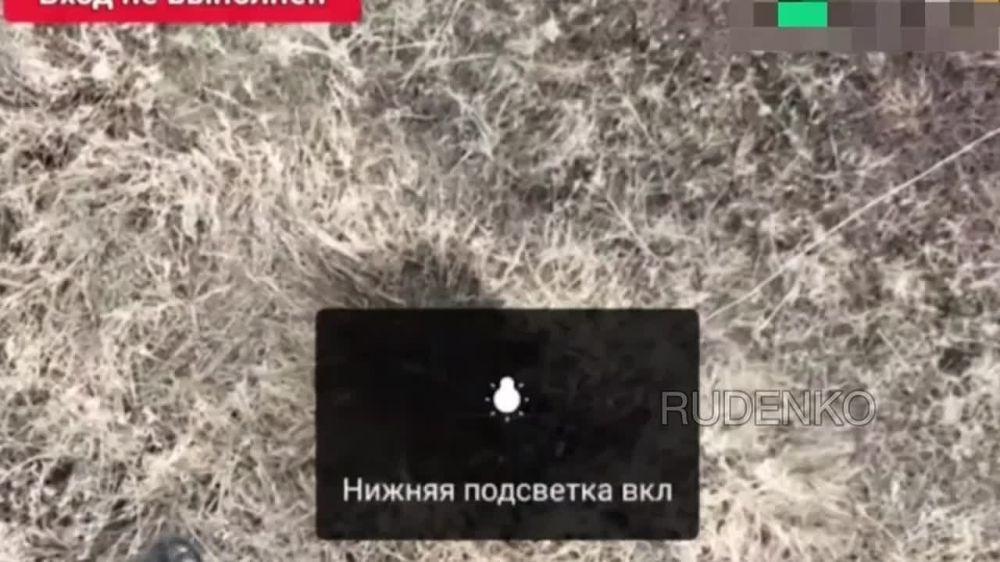  :          ,  -,   