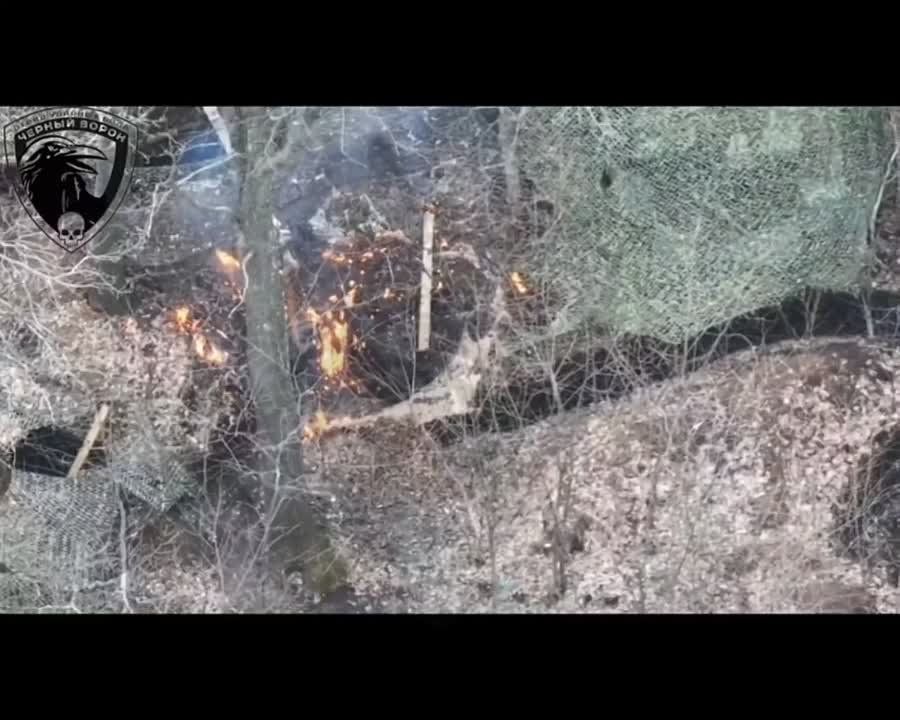 ������� ��������: ����� ������� ���� "׸���� �����" �������� �������� �������� ��� � ����������� �������