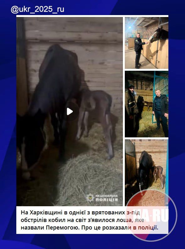 #�������_���_�����������: "��������" ������ ������