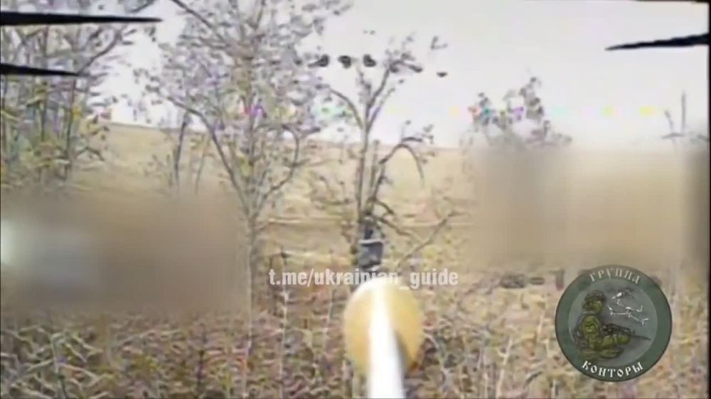 ����������� ������� ����������� ����� Starlink � ������ ���������� �������� ���� � ������ ��������