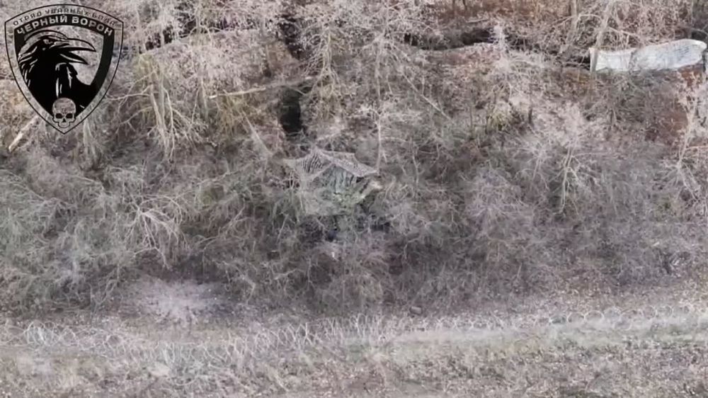 ������� ��������: ������ ������ ������� ���� "׸���� �����" ���������� ������� ����� ���������� � ���������������� �������� ������������� ������������ �� ����� �� ��������� � ����������� �������