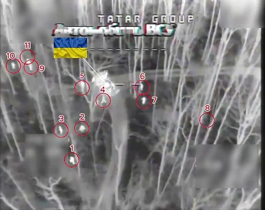 �������� 72 ��� 44�� ������� ������� ��������� ������ ���������� �� ���������� �����������