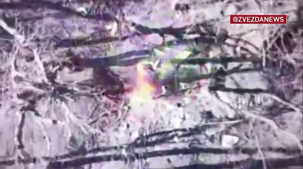 ����� ���� ��������� � �������� � �������� ����������