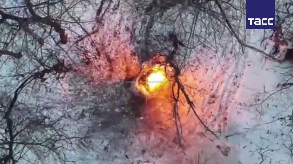 ����������� "�����" ���������� ���������� ��� � ����������� �������, �������� � �� ��