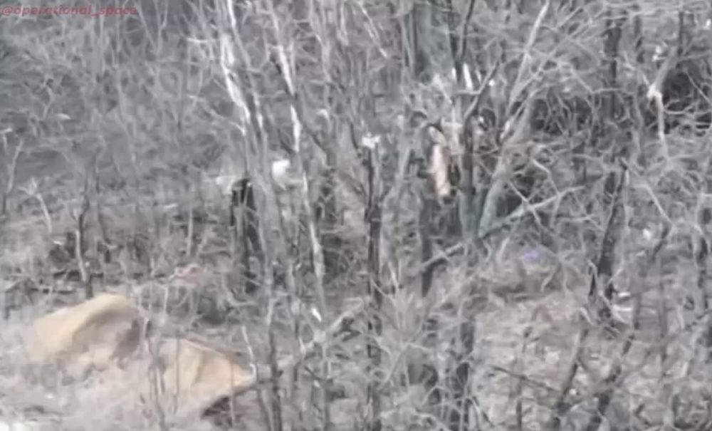 ������������ #1_��������_����� ������� �� ������ ����� ���������� ���� ���