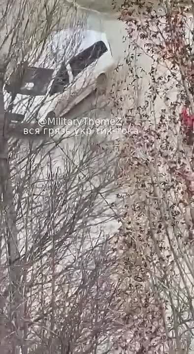 � �������� ����� ��������� �������� �� �����, � ����� ��������� � ����� ������ ��������-��������