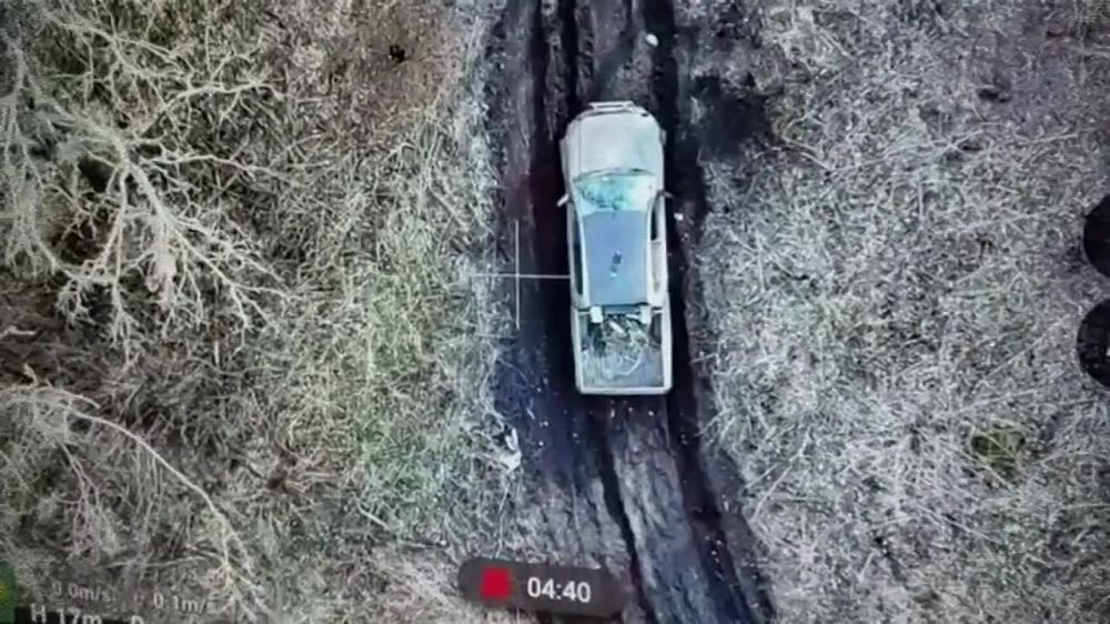 ������� �����. ��������� ���� 41 ��� 44 ���������� ������� � ������� ������� ���������� ������������� ����������� ����������� ���� � ����� ���������� ������������� � ����������� �������