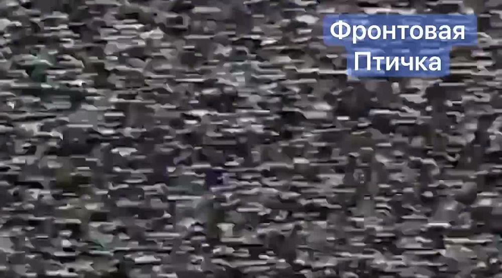 ����������� ����������� �����������