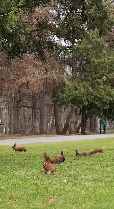 ���������.. � ����������� ����� �������� ������� ���� ���, �������� �� �� ���