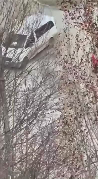 ��������� ����� �� ��������� �� ��������, ��� "������������ �������� �����������", ��������� � ��� � ������ �� ������������