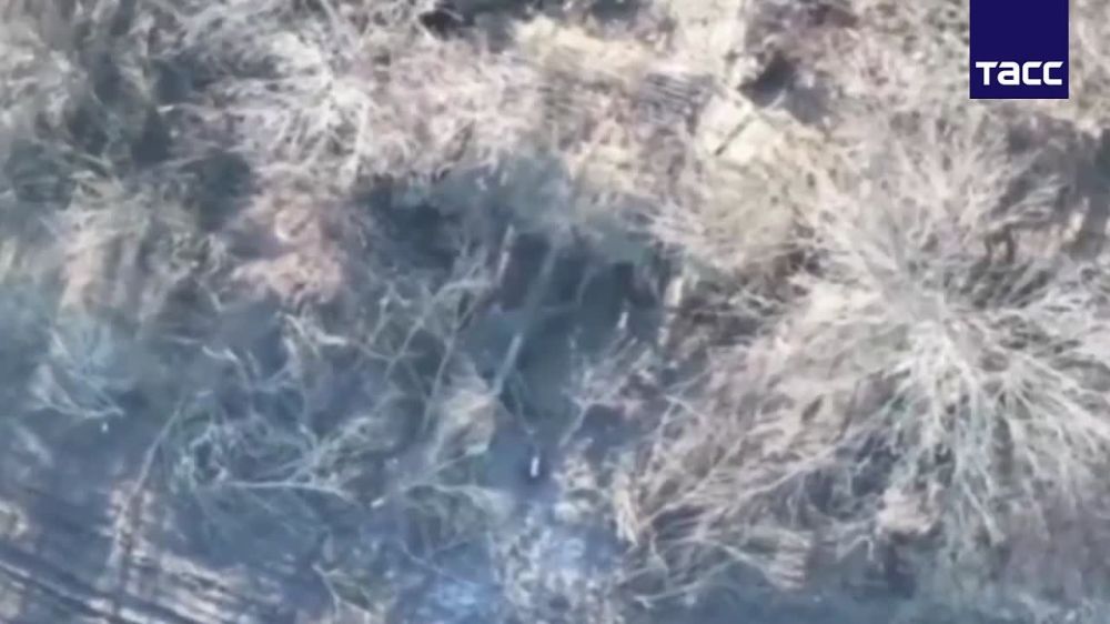 ���������� ����������� ��������� ����������� ������� �777 �� ��������� ����������� � ����������� �������, �������� � ���������� ��