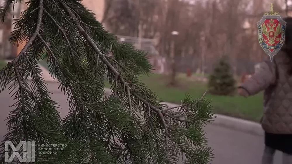 ��� ����������� ������ ������ �� ��������