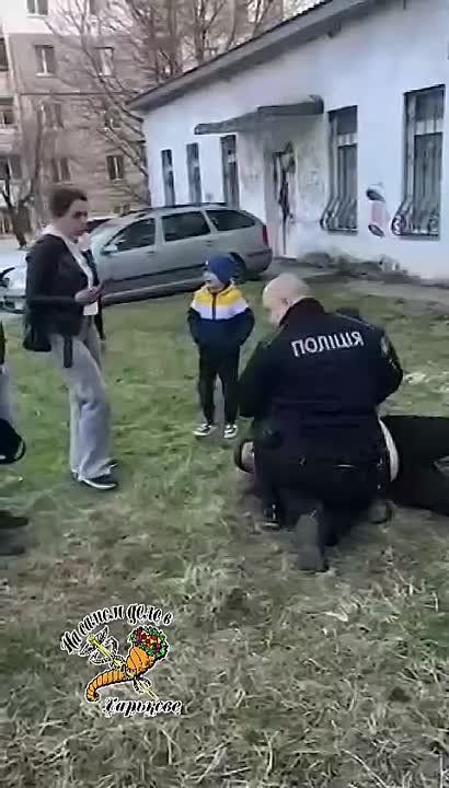 ��������� "�����������" �������� �������� ��������