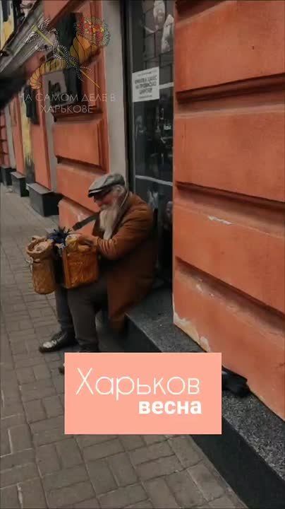 ��� �� �� ����������� ������ - ������ ��� ���� ������� ����� ������� ����������