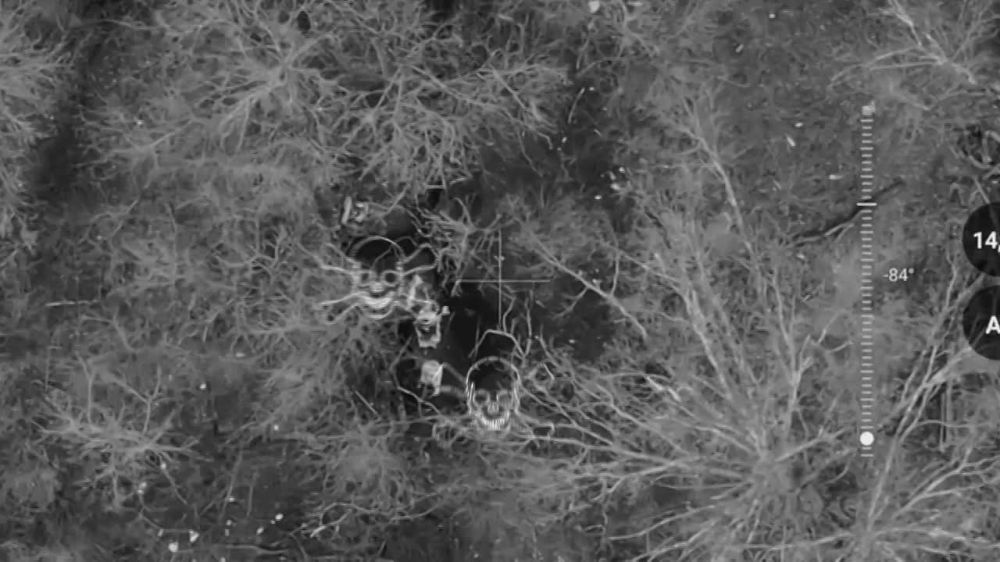 Встрече не суждено было состояться