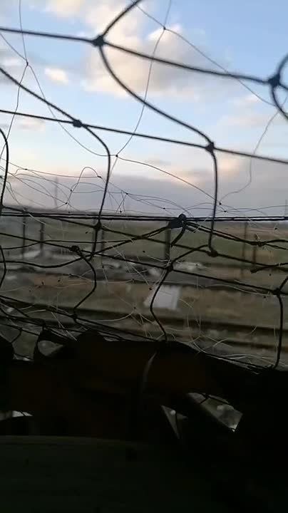 � ��������� ��� ����������� �������� ������� "�����" �������� ����� ���������� �����-��������� �� ���� �� �������