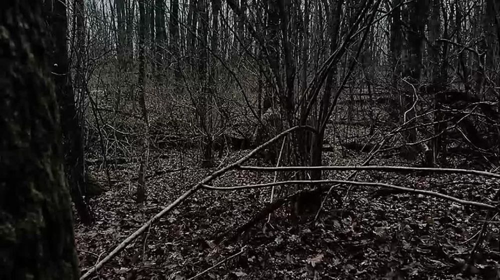 ��������� �������: ����������� ���� 44 ���������� ������� ���������� ����� ���� ���������� �� ����������� �����������