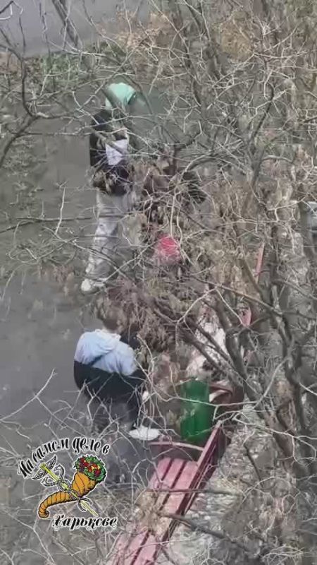 #Нам_пишут. Избивает собак! Зовут человека в красной кепке Михаил В