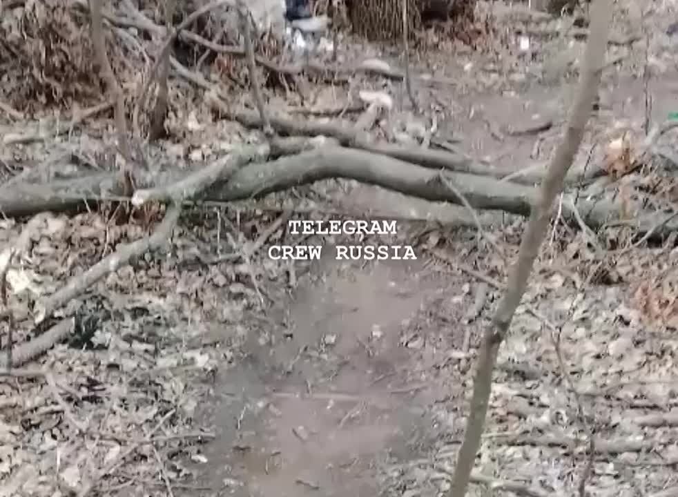  ?  ?.  