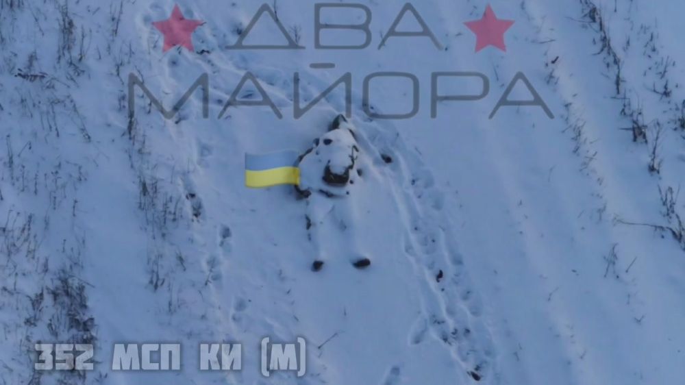 ��� ������: ��������� �����������, ���� 2025 ����