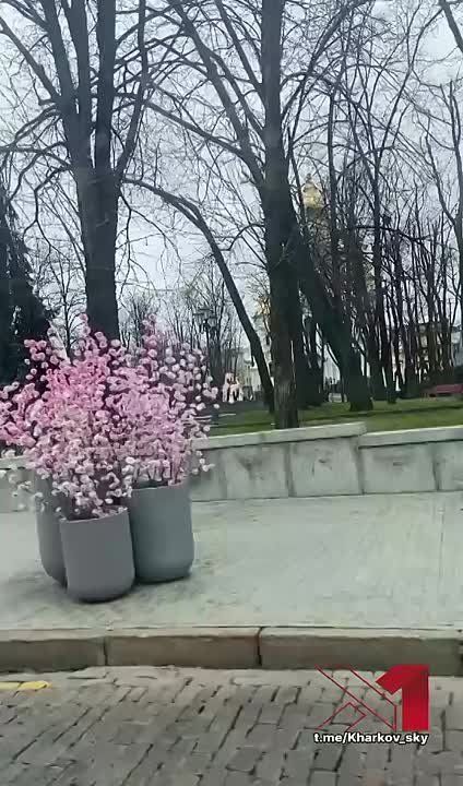 ����� ������ ����� �� �����!