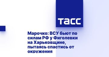 :         ,    