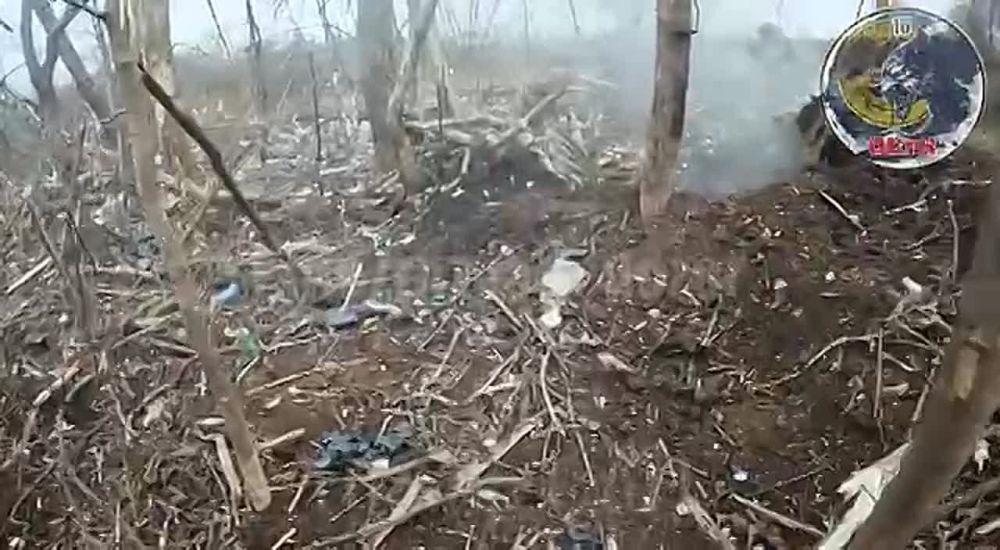 �������� ����� ��� �� ������� ����