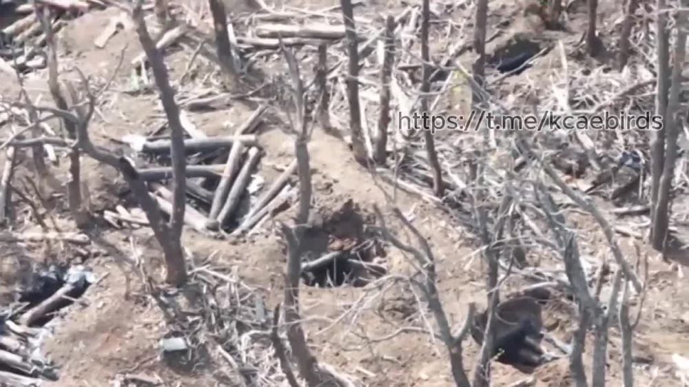 Российские войска уничтожают позиции противника на Купянском направлении при помощи роботизированных платформ, оснащенных миной ТМ-62М