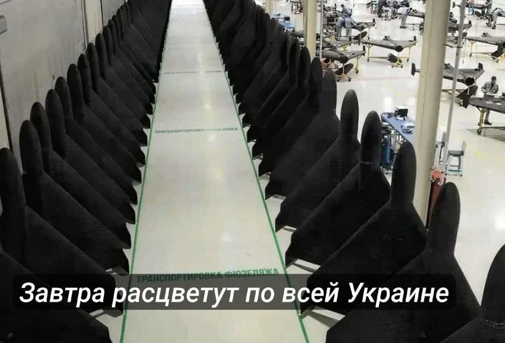 ������� ������ �� ���������� ������� �� ����� 6 ������